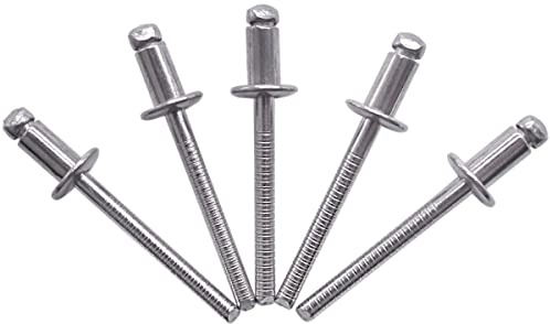 (100 Stück) Edelstahl Blindnieten 4,8 x 10 mm Kuppelkopf Pop Nieten DIN 7337 A2 Niete Nutdorn (100, 4,8 x 10 mm)