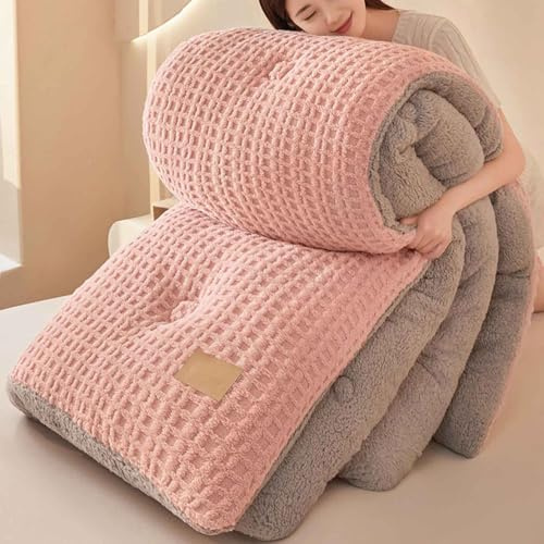 MTHGH Piumino in Velluto di Latte, piumone Invernale Spesso, Coperta Molto Calda e Super Morbida per 2 Persone, Trapunta in Microfibra, piumone Trapuntato Reversibile(03,100x150cm/1.15kg)