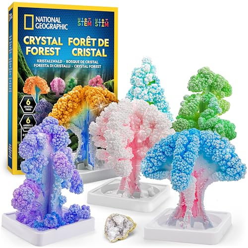 NATIONAL Geographic Bastelset für Kinder – Kristallzucht-Set, 6 Kristallbäume in 6 Stunden wachsen Lassen, Kunstzubehör, Geodenprobe, Mint-Bastelset