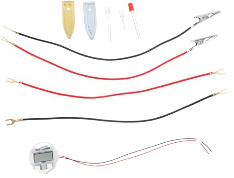 Toddmomy Kit Di Esperimento Scientifico Batteria Frutta Giocattolo Educativo Fai Da Te Orologio Forma Di Patata Attrezzatura Sperimentale Per Studenti