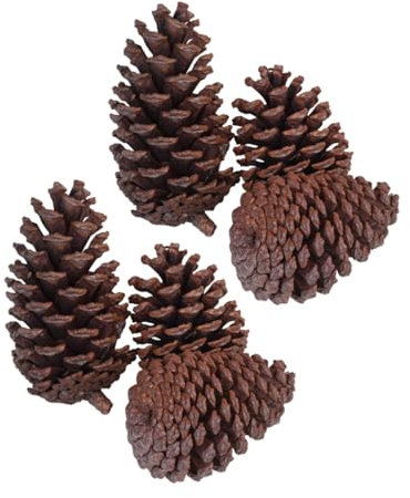 ABOOFAN 6st Getrocknete Tannenzapfen Pinienkugel-Ornamente Tannenzapfen Zur Dekoration Girlande Tannenzapfen Dekorativer Tannenzapfen Tannenzapfen-Dekoration Foto-Requisiten Kiefernzapfen
