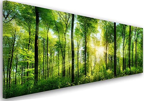 Feeby Bilder Wohnzimmer Wald Grün Landschaft 100x40 cm 1Teilig Schlafzimmer Flur Wandbilder Leinwandbilder Kunstdruck Wanddekoration Panoramabild Modern Design Sonne Baum