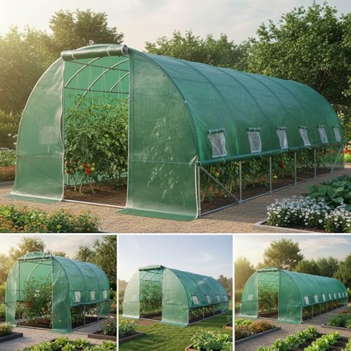 BRAST Serre de Jardin 18m2 (3x6), serre tunnel, parois enroulables- 4 tailles diff. - très stable: Tubes d’acier galvanisés et Film spéciale de 175g/m2, aération optimale, serre de jardin tunnel