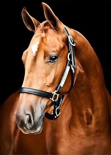 MXJSUA 5D Diamond Painting Caballo 5D Diamond Painting Diamond Diamond Painting Animal Kit Completo Bordado Diamante Kit Completo, Pintura Diamante Caballo Marrón Pintura Diamante 5D Completa 30x40cm