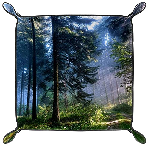 Leder-Valet-Tablett, Schlüssel- und Schmucktablett,Wald bäume Natur sonnenlicht,Schreibtisch-Organizer,Kommode,Tablett,Aufbewahrungsbox für Tisch
