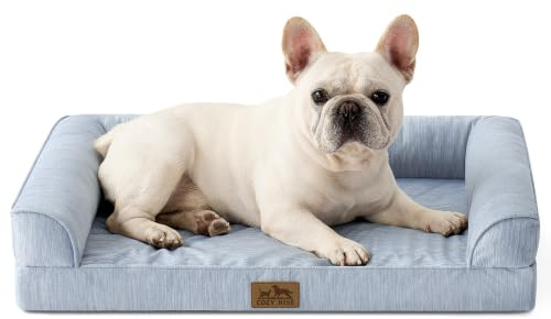 COZY KISS Kühlende Orthopädisches Hundebett für Kleine Hunde 76x51x15cm - Q-Max>0.4 Sommer Ergonomische Hundesofa mit abnehmbarem und waschbarem Bezug & Eierkisten-Schaumstoff, Hellblau