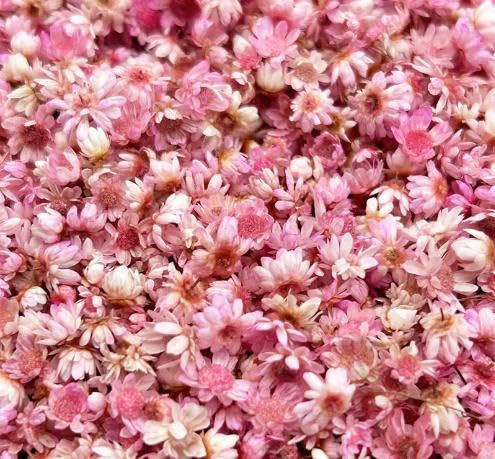 Fiori Secchi Decorativi fiori secchi naturali per Candele Kit DIY Profumate Telefono Gioielli Orecchini Fare Il Sapone Fai Da Te Nail Art Custodia Scrapbook (Rosa)