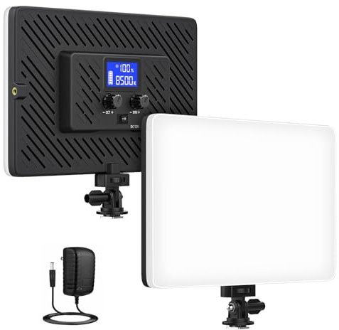 QEUOOIY Led Video Light Panel, 20W Bi-Color Photography Lighting Kit with 4000mAh Battery, Dimmable 2500-8500K Conference Studio Light for YouTube/TikTok, AC Power Charger