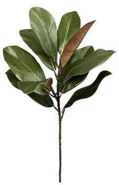 Generisch 2 ramas de magnolia artificiales con hojas realistas para una decoración de mesa elegante para interiores y exteriores como flores artificiales duraderas, alternativa a, verde, 56