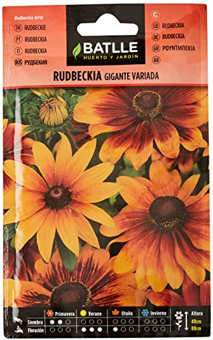 Semillas Batlle Rudbeckia gigante variada
