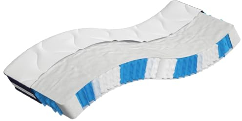 vidaXL Matratze Taschenfederkern, Taschenfederkernmatratze Atmungsaktiv Hautfreundlich, Bettmatratze Härtegrad Mittelfest, Stoffmatratze Federkernmatratze, 70x200cm