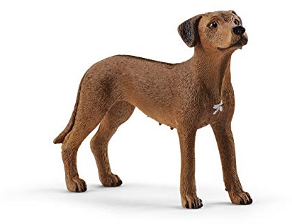 Schleich Farm World | Rhodesian Ridgeback 13895 | 2 x 7 x 5 cm | Spielfigur ab 3 Jahren | schleich Bauernhof Spielfigur | detailgetreue Tierfigur | Geschenk für Jungen und Mädchen