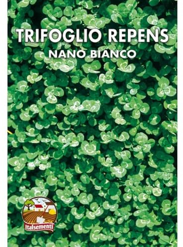 TRIFOGLIO REPENS Nano Bianco - SEMI
