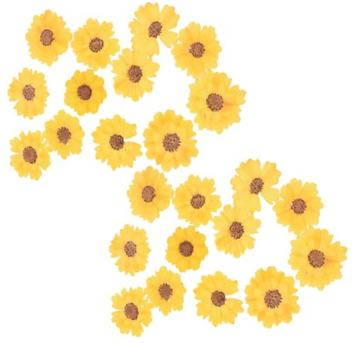 COHEALI 120 STK DIY Prägung Scrapbook scheckheft Trockenblumen für Handyhüllen selber Machen handwerkliche Herstellung von getrockneten Blumen getrocknete Blumen selber Machen Yellow