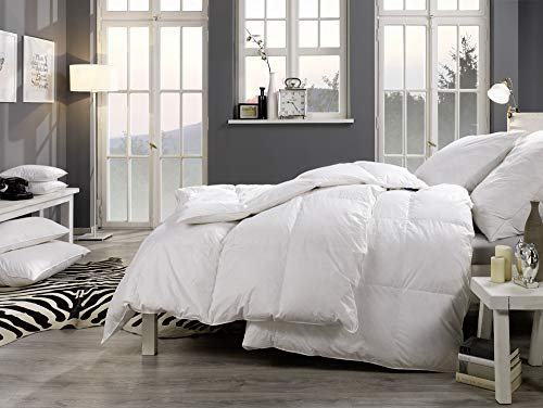 LINEA by Böhmerwald - Comfort - Couette Légère, 200 x 200 cm, 90% Duvet/10% Plumes de Classe 1, Convient aux Personnes Allergiques, Lavable à 60 °C, Fabriquée en Allemagne