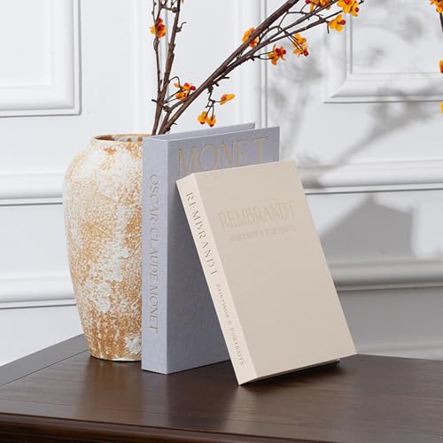 FrostyFlair Décoration Livres, 2 Pièces Faux Livres pour Décoration de Salon, Livres de Table Basse Esthétiques, Boîte de Rangement en Lin pour Étagère & Entrée, Style Moderne & Bohème