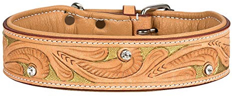 MICHUR GoldenEye Hundehalsband Leder, Beige, Caramel, Braun, Gold | Lederhalsband Hund, Mit Stanzungen, Farbhinterlegung, Mit Strasssteinen, In verschiedenen Größen erhältlich