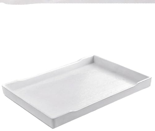 OMEM Grand Bol pour Reptiles - pour Nourriture et Eau - Convient également pour Le Bain (L, Blanc)