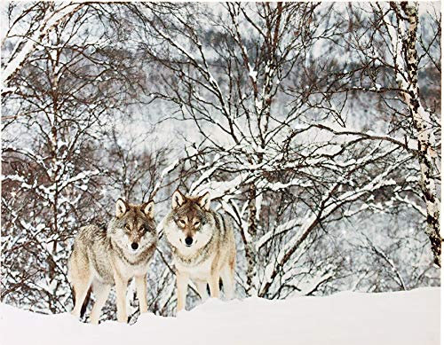 LED Bild Winter Moments - Leinwand auf Keilrahmen mit 40 LED Funkeleffekt 40x30 cm Wölfe im Wald