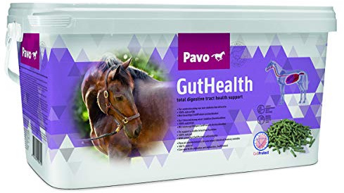 Pavo GutHealth | Unterstützt eine gesunde Verdauung | 7,5 KG