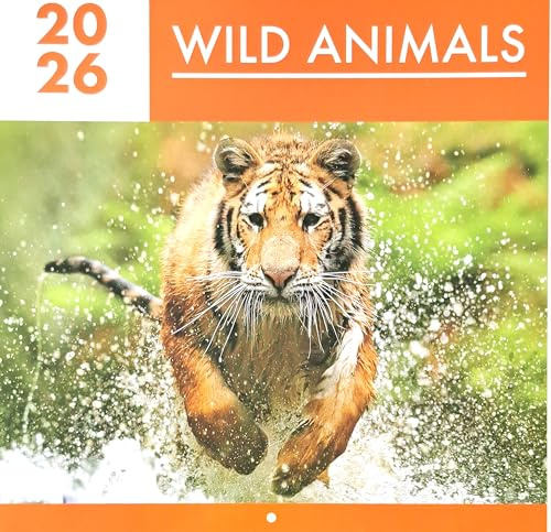 2026 Wild Animals Square Wall Calendar Wildlife Nature Lion Tiger Birds Owl Home Kitchen Christmas Birthday New Year Gift