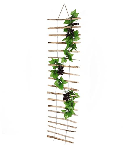 Rankhilfe Haselnuss 50cm x 200cm