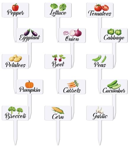 arricraft 15 Pcs Acrylic Vegetables Plant Labels, Onion Eggplant Cabbage Plant Markers with Handwriting Name Clear Garden Tags Sign for Seed Potted Farm Supplies Garden Gift 4x2.67inch(10.2x6.8cm)