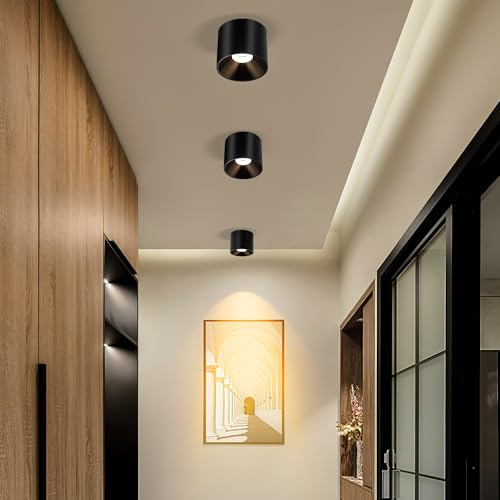 FNOESTY Ceiling Light Fixture, Flush Mount Dimmable Ceiling Lights, Modern LED Cylinder Ceiling Light Spot Lights Indoor for Living Room Hallway Entryway Kitchen, 3000K, Black, 3 Pack