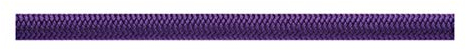 Beal Kletterseil Wall Master Unicore, 10.5MM, eine Länge von 40M, in der Farbe Violett, BC105W.40.V