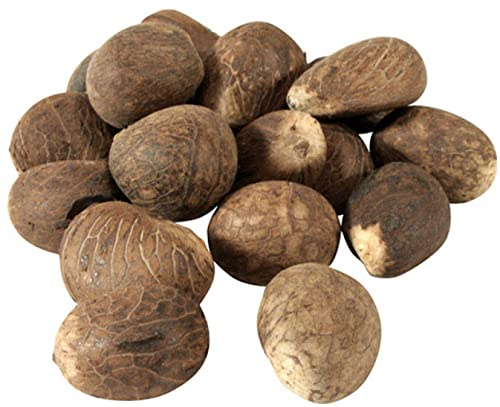 Fair Trade Ecuador Tagua Nuts | Vegan Ivory | 45-55mm / 4.5cm-5.5cm (1.77''-2.16'') (10)