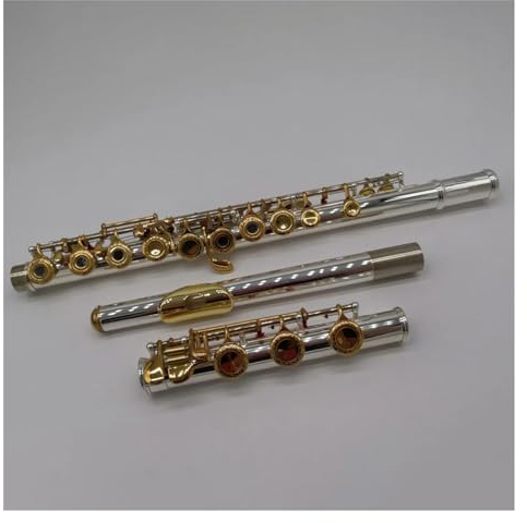 Flöten Mit Vergoldeter Mundlochplatte, Handgeschnitzte Vergoldete Klappen, 17 Löcher, Offene Löcher, C-Ton-Flöte Mit Koffer Querflöte für Anfänger