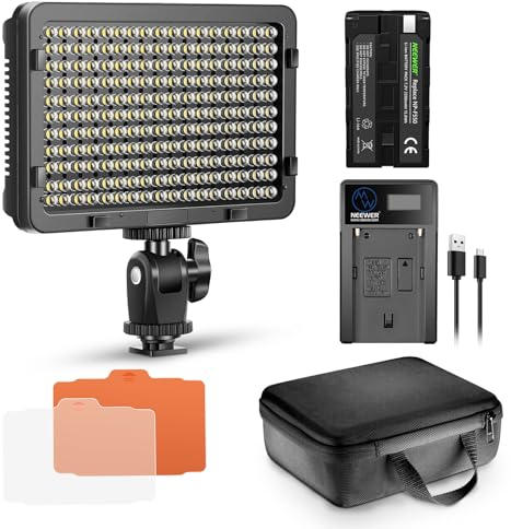 Neewer 176 LED Eclairage Kit: 176 LED Panneau Réglable, avec Batterie Li-ION 2200mAh, USB Chargeur et Etui de Transport pour Photographie Produit et Portrait
