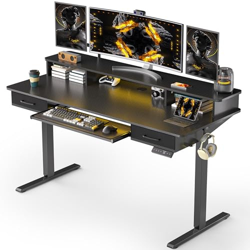 WALKINGDESK 55x24 Inches Electric Standing Desk with Keyboard Tray, Height Adjustable Stand up Desk with 2 Drawers, Ergonomic Sit to Stand Desk with Storage Monitor Stand, Computer Table, Black