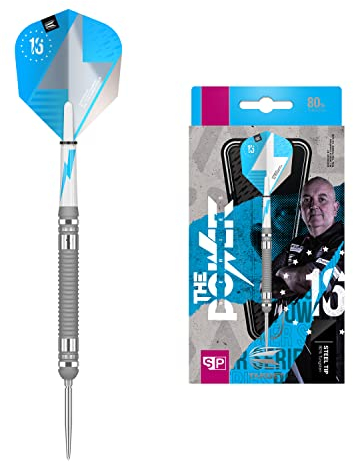 Target Darts Phil Taylor Power Series Silberne Wolfram Swiss Point Steeldarts-Set Dartpfeile (24 gr)