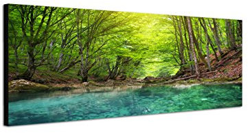 Augenblicke Wandbilder Keilrahmenbild Wandbild 150x50cm Wald Wildbach Frühling Sonnenlicht