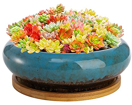 Peohud Succulent Planters Pot, 18cm Glazed Ceramic Bonsai Pots and Tray, Round Shallow Plant Pot with Drainage Hole, Flower Container Pots Garden Decorative Cactus Stand with Bamboo Tray, Blue