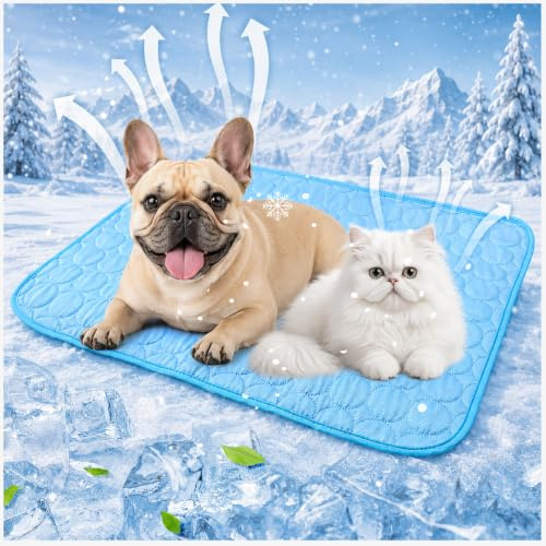 Tapis Rafraichissant Chien,Tapis Fraicheur Chien pour Chats Et Chiens,Lavable Tapi de Refroidissement en Soie Glacée,Pet Cooling Mat pour À La Maison, en Voyage Ou en Voiture(Bleu,27,5*21,6in)