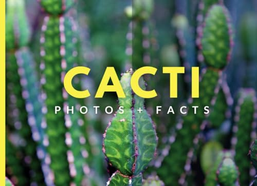 Cacti: Photos + Facts