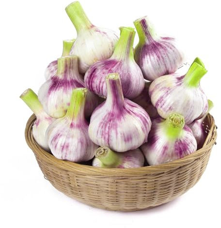 4pcs Pflanzknoblauch Winterhart - Kräuterbeet Deko & Gemüsebeet Indoor