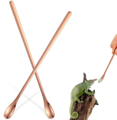 SMASOLO Lot de 2 Cuillères D’Alimentation pour Reptiles en Acier Inoxydable 19 Cm, Outil Réutilisable pour Nourrir Lézards et Petits Animaux, Cuillère Pratique pour Nourriture Solide