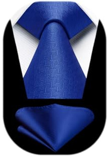 HISDERN Cravatta Blu Uomo Cravatte e Fazzoletto Elegante Cravatta da Matrimonio Business