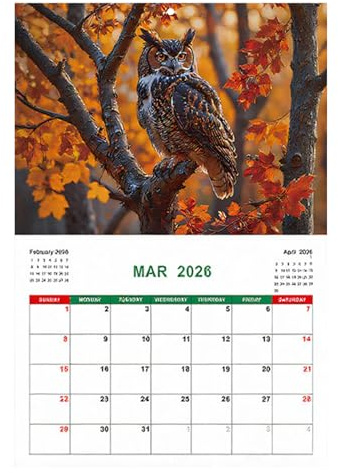 Eulenkalender – Wandkalender, Monatlicher Planer 2026, Persönlicher Zeitmanagementplaner, Bürobedarf Für To-Do-Listen, Ziele, Organisation Derser Kalender E Urlaubsplanung