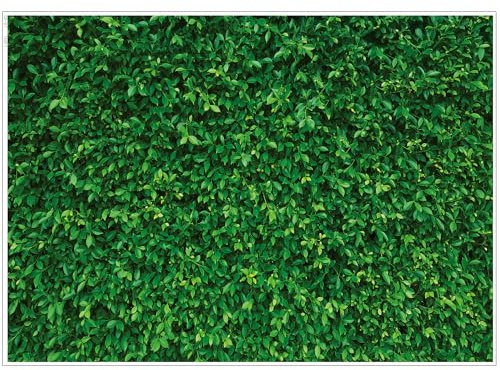 LYWYGG 7x5FT Grün Blätter Fotografie Hintergrund Natürliche Landschaft Hintergrund Klare Farbe Faltbare Einfach Zu Tragen für Geburtstagsfeier Outdoor-Aktivität Studio Requisiten CP-87