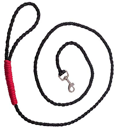 Golden Pets Paracord Hundeleine I Handschlaufe I 1,7m I reflektierend, extrem leicht & robust I geflochtene hochwertige Führleine I kleine - große Hunde