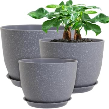 OctBird 3 Plastic Flower Pots (3 Sizes) - Indoor & Outdoor Plant Pots with Grey, Spotted Ventilated Design