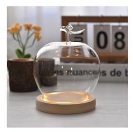 SJJSJJ Glass Apple Case with Wooden Base, Transparent Display Dome Cover for Collectibles, Decorative Home Centerpieces & Valentine's Day, Ideas for Doll, Jewelry, Displays (Slot lights)