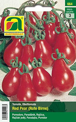 Tomate, Obsttomate, Red Pear (Rote Birne)