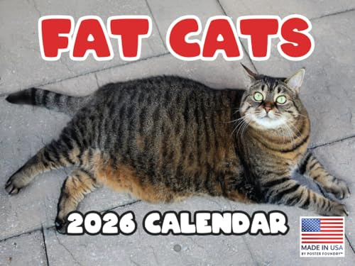 Fat Cat Calendar 2026 Monthly Wall Calender 12 Month
