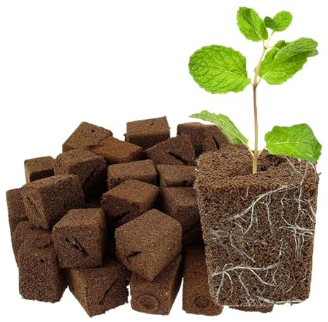 UALXPAO Coltivare spugne 50 Pz Coltivare Spugne Spine di Avviamento Idroponico Semi Giardinaggio Incisione Inclinata Semina e Taglio del Blocco Substrato