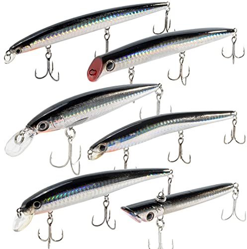 Dr.Fish 6 PCS Sea Fishing Lures Set Plug Minnow Pencil Jerkbait Popper Lures Set for Bass Perch Trout Mackerel Pike Holographic Laser